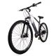 Youin BK3100M MTB EVEREST