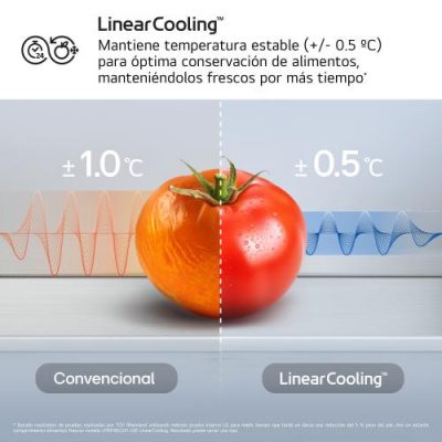 LG GBBS322CPY