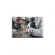 Amoladora  - 06017B0100 BOSCH, Negro
