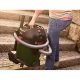 Aspirador con bolsa - BOSCH AdvancedVac 20 (Incluye accesorios), 1200 W, Potencia de succión 300 W, Depósito 16,8 l, Verde
