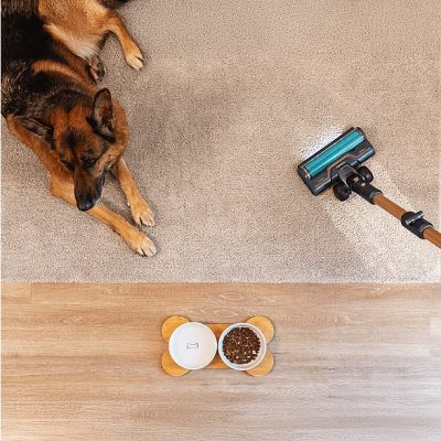 Aspirador escoba - Cecotec RX70 AquaPet Flex, 780 W, 100 min Autonomía, Cepillo HairLess XL, Sin bolsa, Negro/Dorado