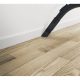 Aspirador sin bolsa - HOOVER HP320PET 011, 850 W, Depósito 2 l, Negro