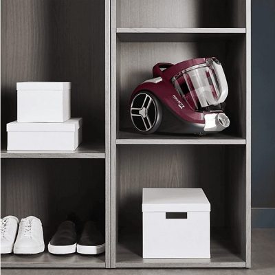 Aspirador sin bolsa - ROWENTA RO4B63EA, 900,00 W, Potencia de succión 750 W, Depósito 2,50 l, Rojo