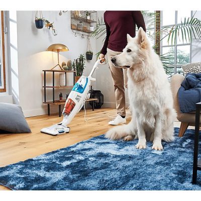 Aspirador sin bolsa - ROWENTA RY8544, 1700 W, Depósito 0,5 l, Blanco, Azul