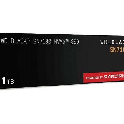 Disco duro SSD interno 1,02 TB - SANDISK WDS100T4X0E-00CJA0, Interno, Not available