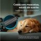 Robot Aspirador - CECOTEC Conga 7690 Immortal Max, 45 W, Potencia de succión 5000 kPa, Depósito 500 ml, Autonomía 120 min, Multicolor